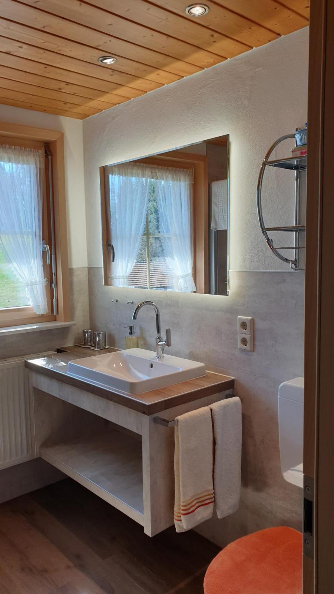 Dachsberg im SchwarzwaldHaus Am Kreuzbuehl公寓 外观 照片