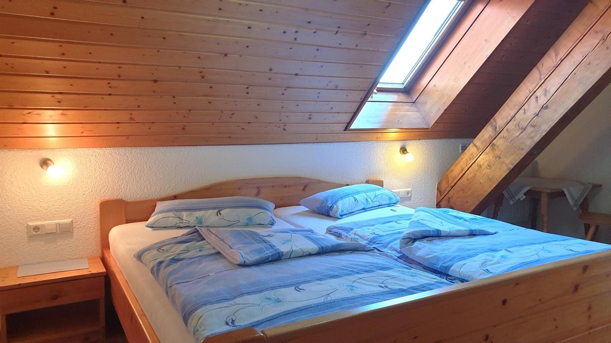 Dachsberg im SchwarzwaldHaus Am Kreuzbuehl公寓 外观 照片