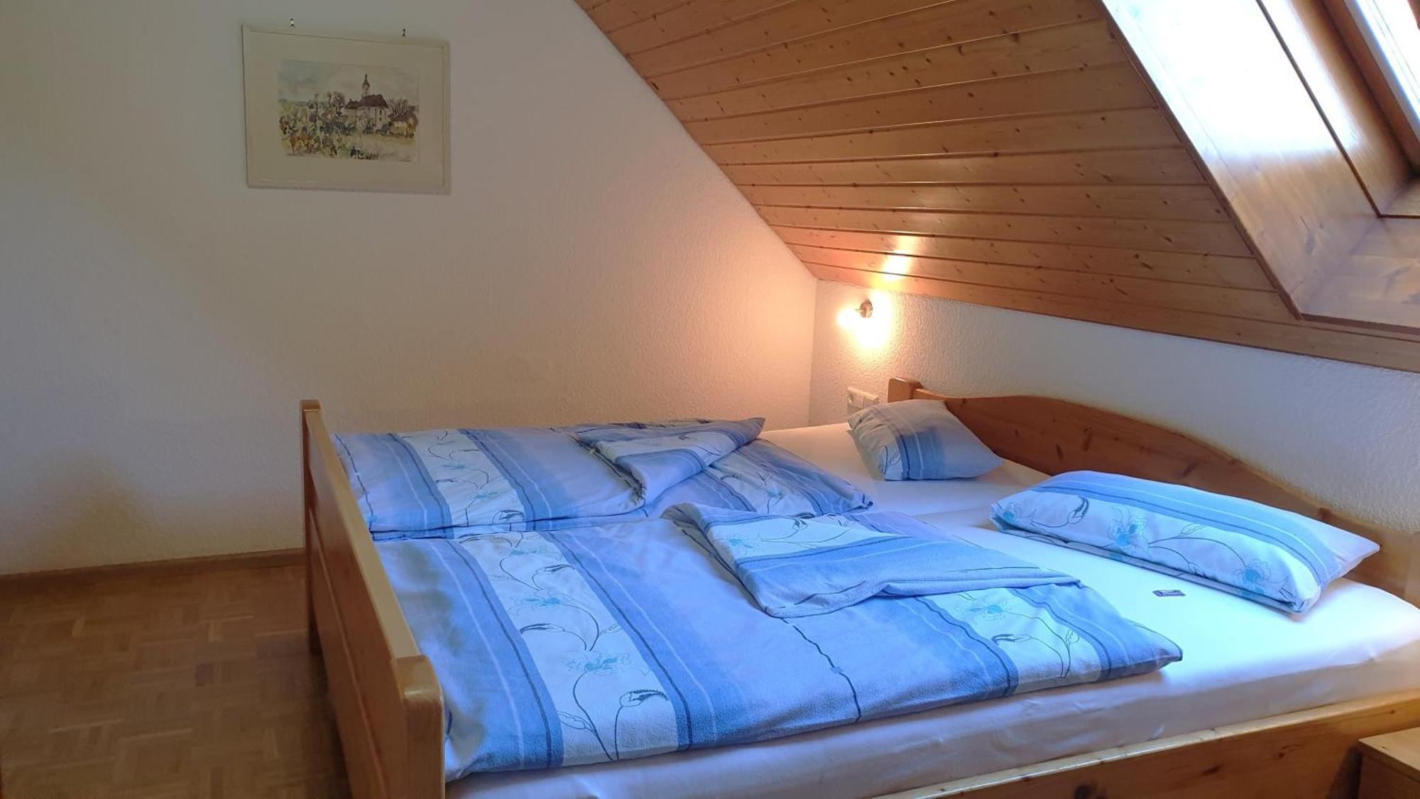 Dachsberg im SchwarzwaldHaus Am Kreuzbuehl公寓 外观 照片