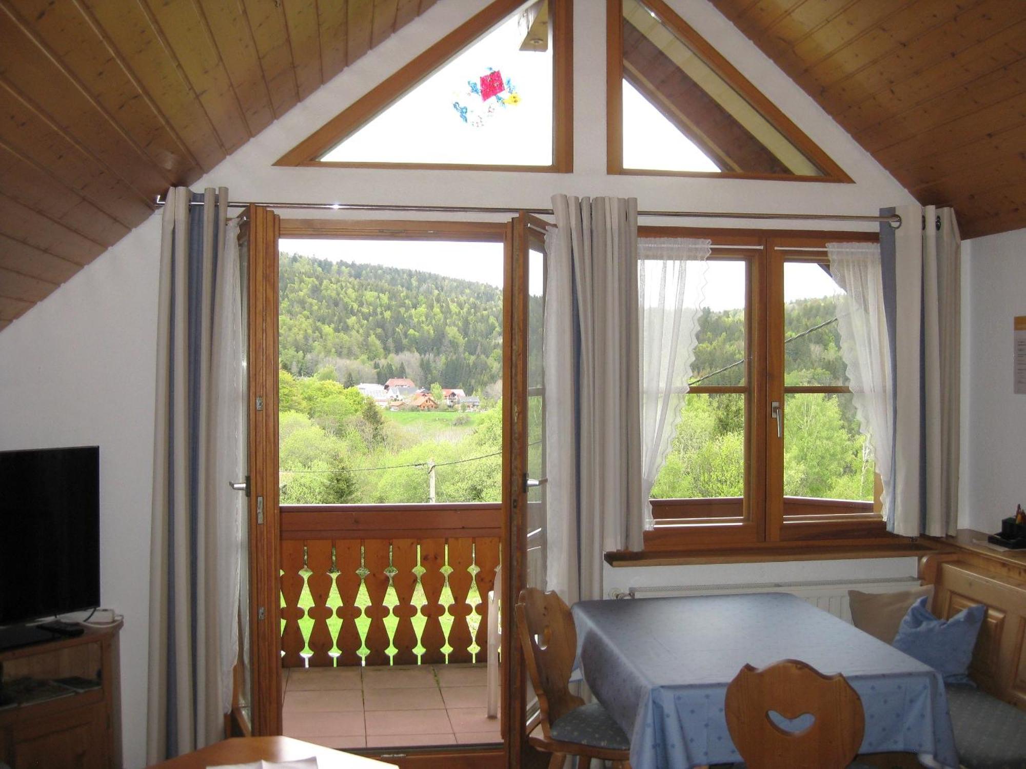 Dachsberg im SchwarzwaldHaus Am Kreuzbuehl公寓 外观 照片