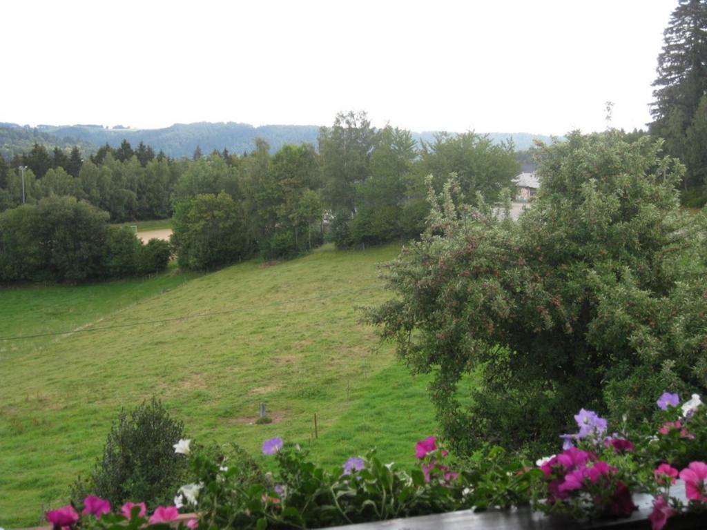 Dachsberg im SchwarzwaldHaus Am Kreuzbuehl公寓 外观 照片