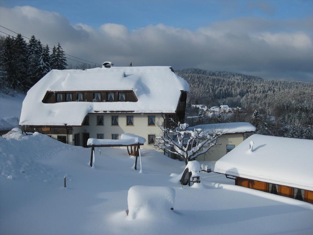 Dachsberg im SchwarzwaldHaus Am Kreuzbuehl公寓 外观 照片