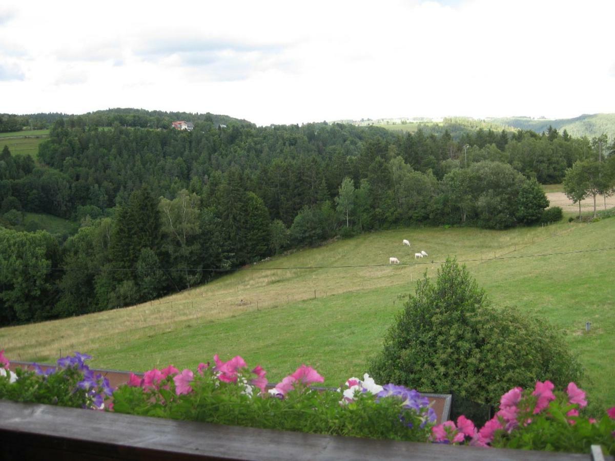 Dachsberg im SchwarzwaldHaus Am Kreuzbuehl公寓 外观 照片